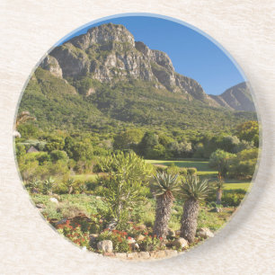 Kirstenbosch Botanische tuinen, Kaapstad Zandsteen Onderzetter