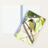 Kirtland's Warbler spiral bound bullet Journal Notitieboek (Binnen)