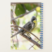 Kirtland's Warbler spiral bound bullet Journal Notitieboek (Achterkant)