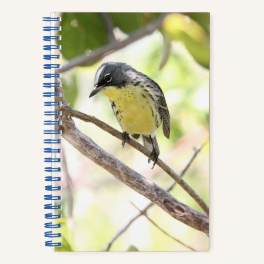 Kirtland's Warbler spiral bound bullet Journal Notitieboek (Voorkant)
