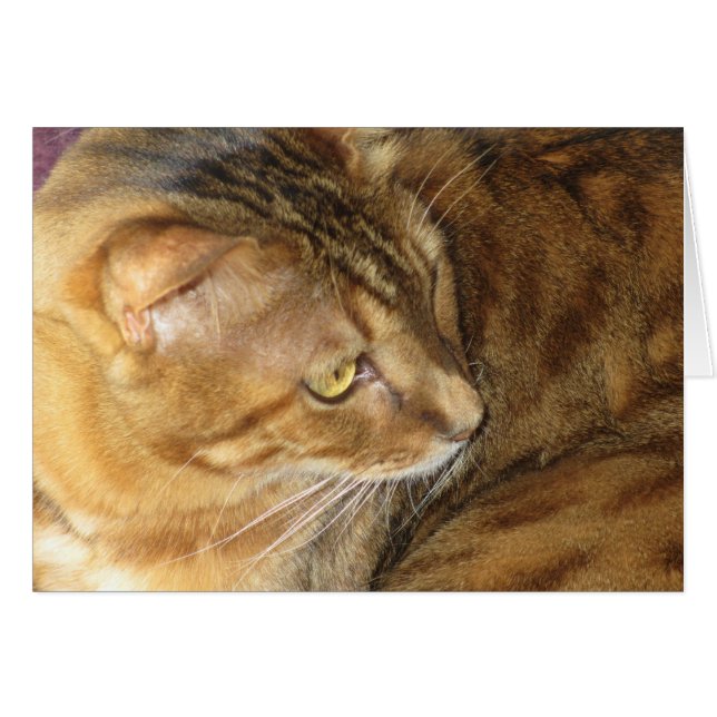 Kishka-glittering in goud (Voorkant Horizontaal)