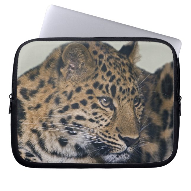 Kiska Laptop Hoes (Voorkant)