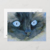 Kismet de Ragdoll Cat Briefkaart (Voorkant / Achterkant)