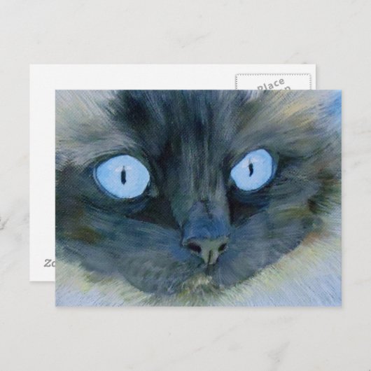 Kismet de Ragdoll Cat Briefkaart (Voorkant / Achterkant)