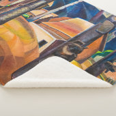 Kispiax Village | Emily Carr | Sherpa Deken (3/4)