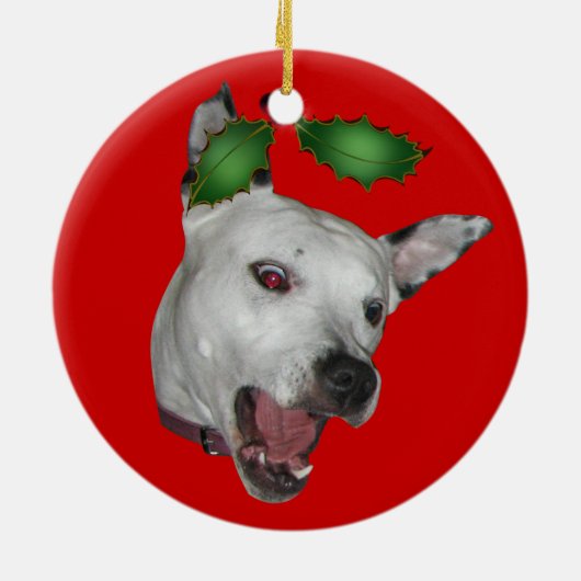 Kiss Facemauler Ornament (Achterkant)