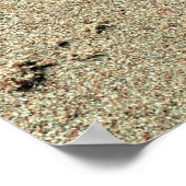 Kiss in the Sand Footprints in Sand Poster (Hoek)