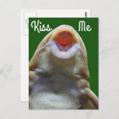 Kiss me Fish Briefkaart (Voorkant / Achterkant)