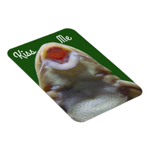 Kiss me Fish Magneet (Rechterzijde)