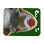 Kiss me Fish Magneet (Horizontaal)