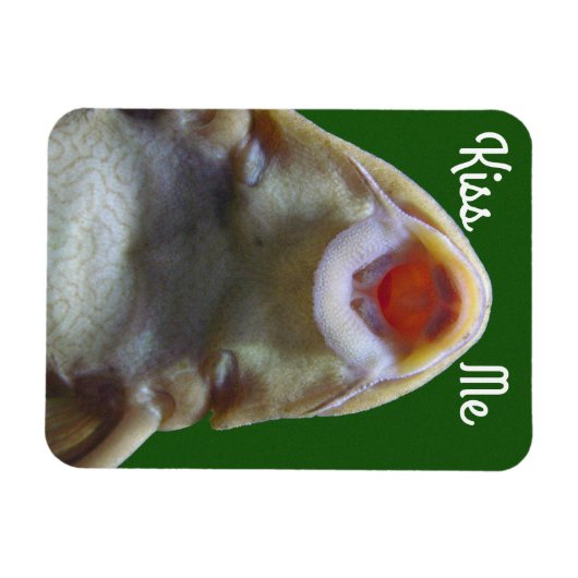 Kiss me Fish Magneet (Horizontaal)