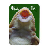 Kiss me Fish Magneet (Verticaal)