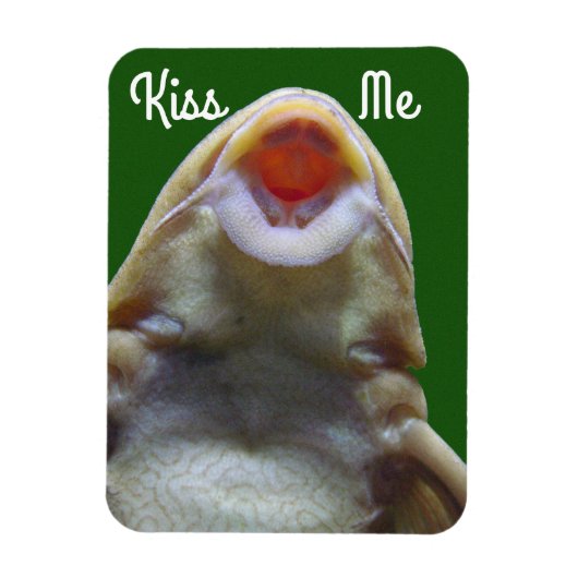 Kiss me Fish Magneet (Verticaal)