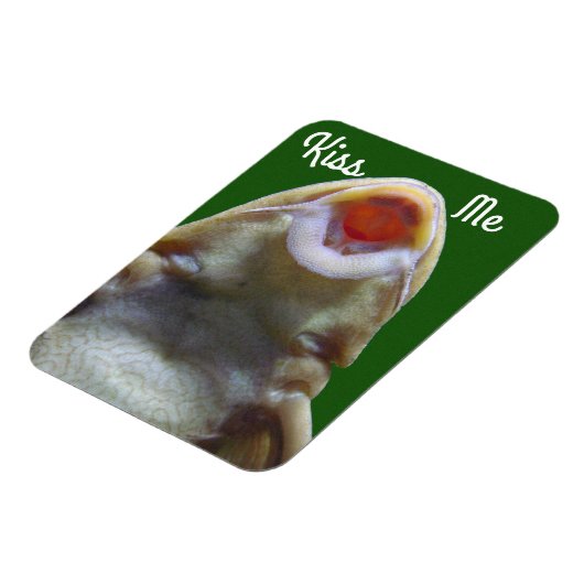 Kiss me Fish Magneet (Linkerzijde)