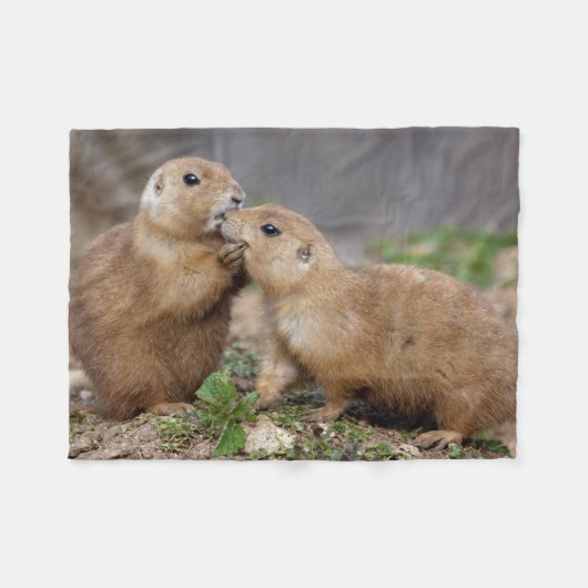 Kiss me Quick Fleece Blanket Deken (Voorkant (Horizontaal))