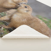 Kiss me Quick Sherpa Blanket Sherpa Deken (3/4)