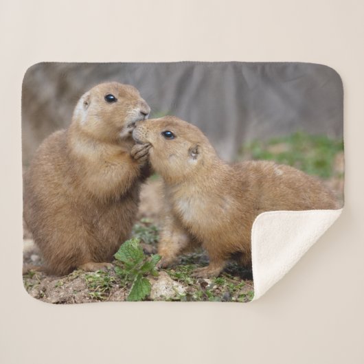 Kiss me Quick Sherpa Blanket Sherpa Deken (Voorkant (horizontaal))