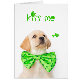Kiss Me Yellow Labrador Puppy
