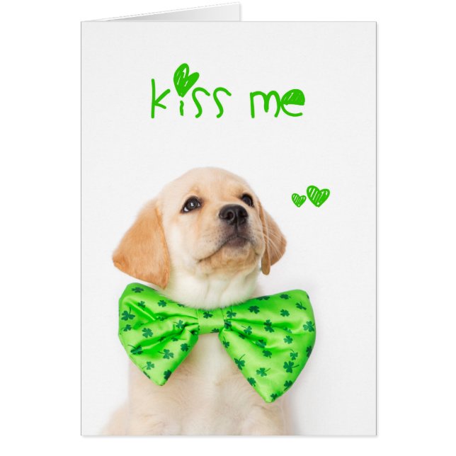 Kiss Me Yellow Labrador Puppy (Voorkant)