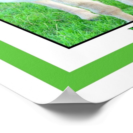 KISS MIJN JACKASS, HEE HAW POSTER (Hoek)