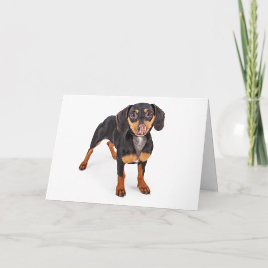Kiss My Wiener Greeting Card Kaart (Voorkant)