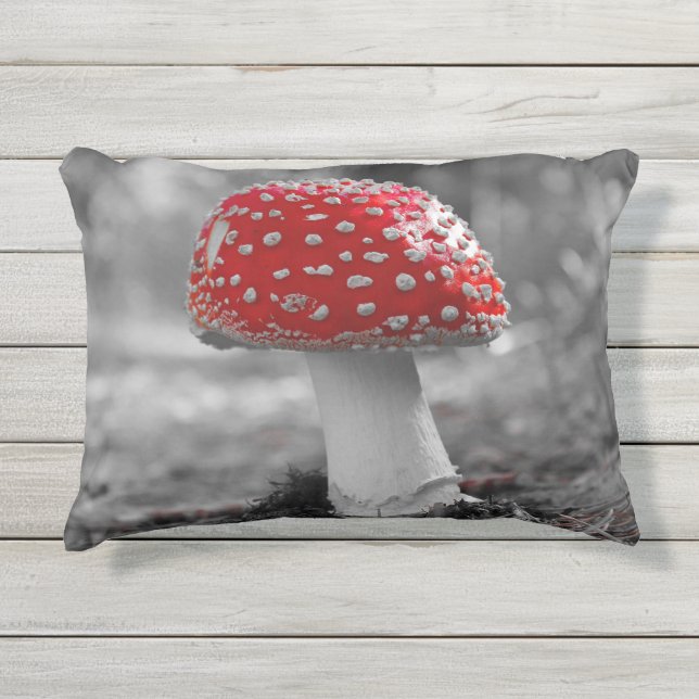 Kissen für Draußen mit Pilz Druck  Buitenkussen (Voorkant)