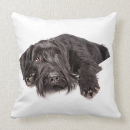 Kissen Riesenschnauzer Kussen