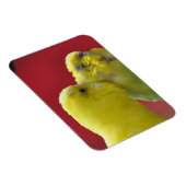 Kissende boedgies! magneet (Rechterzijde)