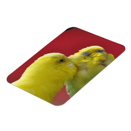 Kissende boedgies! magneet (Linkerzijde)