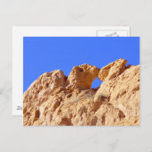 Kissende Camels Briefkaart (Voorkant / Achterkant)