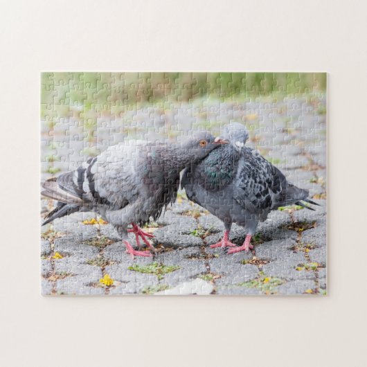 Kissende duiven legpuzzel (Horizontaal)
