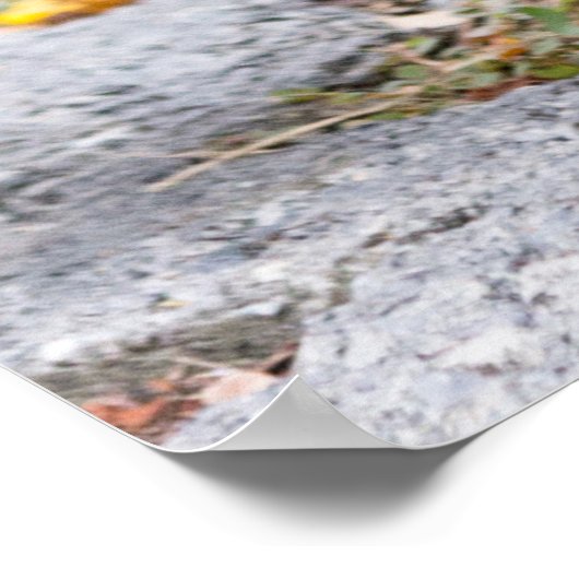 Kissende duiven poster (Hoek)