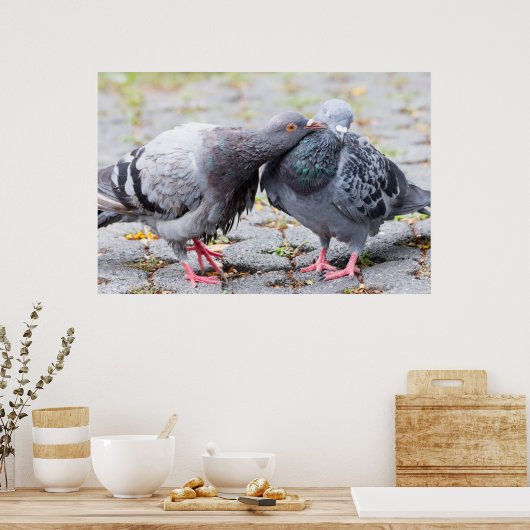 Kissende duiven poster (Keuken)