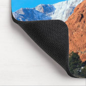 Kissende kamelen in de tuin van het Gods Park Muismat (Hoek)