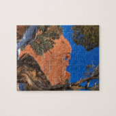 Kissende kamelen omwoeld door Boom 01 Legpuzzel (Horizontaal)