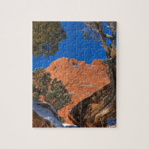 Kissende kamelen omwoeld door Boom 01 Legpuzzel