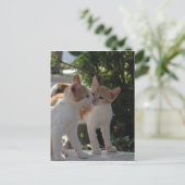 Kissende katten briefkaart (Staand voorkant)