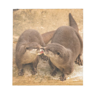 Kissende Otters Notitieblok