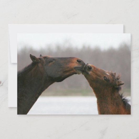Kissende paarden Blank Card Feestdagenkaart (Voorkant)