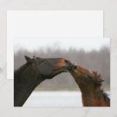Kissende paarden Blank Card Feestdagenkaart (Voorkant / Achterkant)
