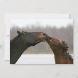 Kissende paarden Blank Card Feestdagenkaart