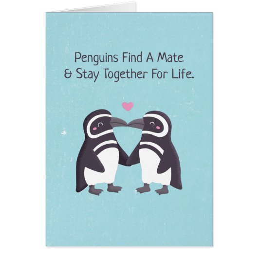 Kissende pinguïns, grappig dat je mijn pinguïn ben (Voorkant)