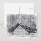 Kissende vogels briefkaart (Voorkant / Achterkant)