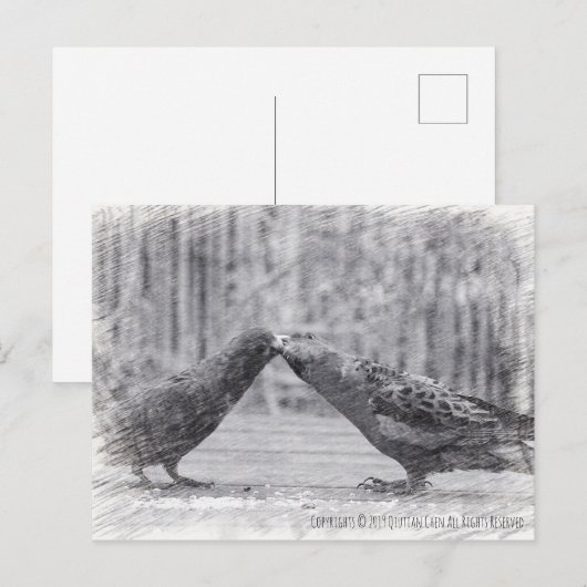 Kissende vogels briefkaart (Voorkant / Achterkant)