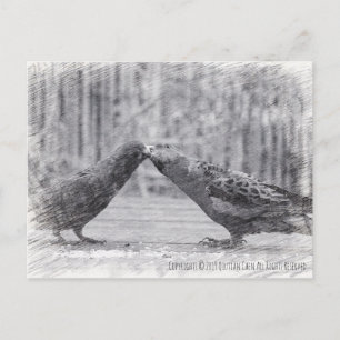 Kissende vogels briefkaart
