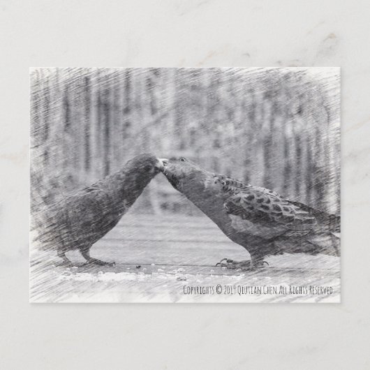 Kissende vogels briefkaart (Voorkant)