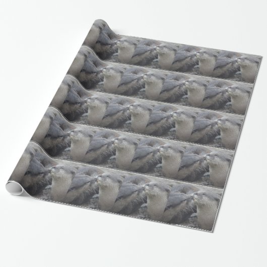 Kisser River Otters Cadeaupapier (Uitgerold)