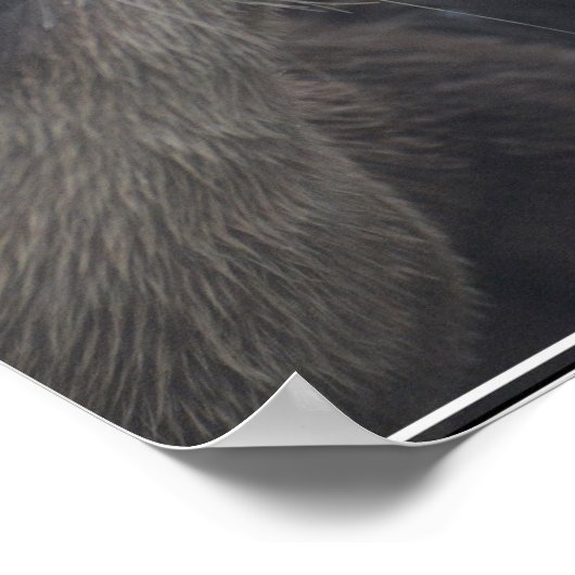 Kisser River Otters Poster (Hoek)