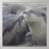 Kisser River Otters Poster (Voorkant)