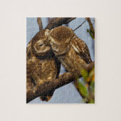Kissers Owls Legpuzzel (Verticaal)